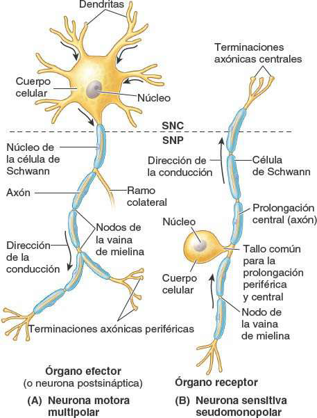 fig 1 28