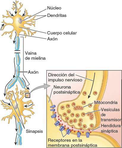 fig 1 29