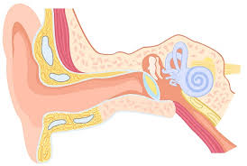 images (2)